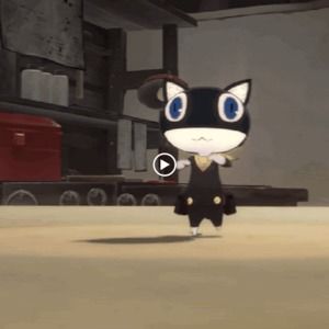 Meet your Posher, Max